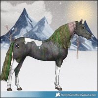 Horse Color:Painted Watercolor Midnight Bay Ice Tobiano Varnish 