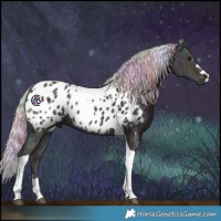 Horse Color:Nacre Midnight Silver Bay Ice Tobiano Near Leopard 