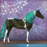 Horse Color:Watercolor Midnight Bay Tobiano Rabicano 