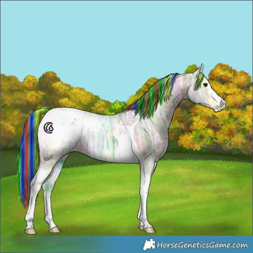 Horse Color:Painted Watercolor Bay Ice Tobiano Appaloosa Rabicano 