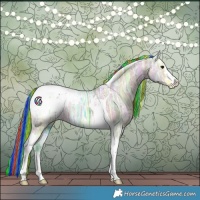 Horse Color:Painted Watercolor Bay Ice Tobiano Appaloosa Rabicano 