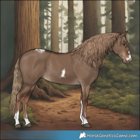 Horse Color:Liver Red Dun Tobiano Rabicano 