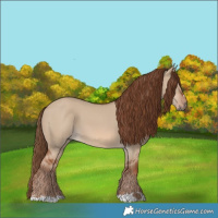 Horse Color:Red Dun 
