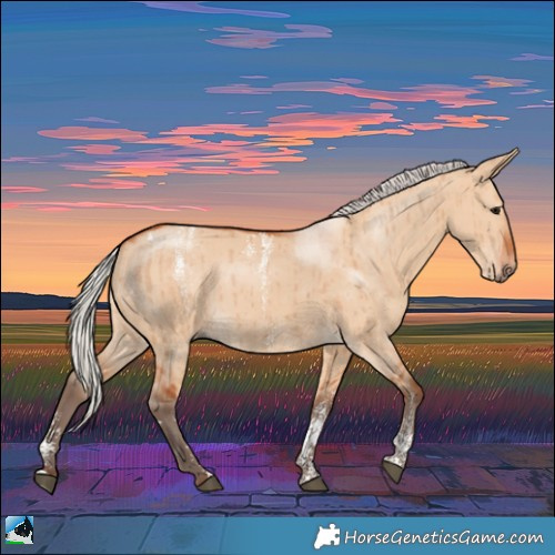 Horse Color:Powder White Silver Bay Dun Brindle 