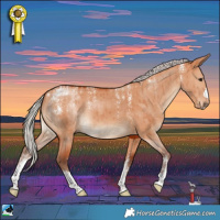 Horse Color:Powder White Silver Bay Dun Brindle