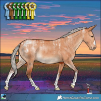 Horse Color:Powder White Silver Bay Dun Brindle 