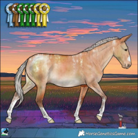 Horse Color:Powder White Silver Bay Dun Brindle 