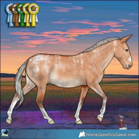 Horse Color:Powder White Silver Bay Dun Brindle