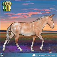 Horse Color:Powder White Silver Bay Dun Brindle 