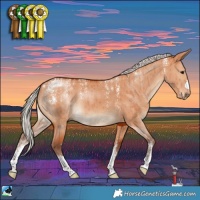 Horse Color:Powder White Silver Bay Dun Brindle 