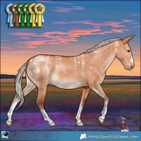Horse Color:Powder White Silver Bay Dun Brindle 