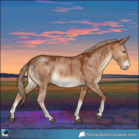 Horse Color:Red Dun Rabicano Brindle