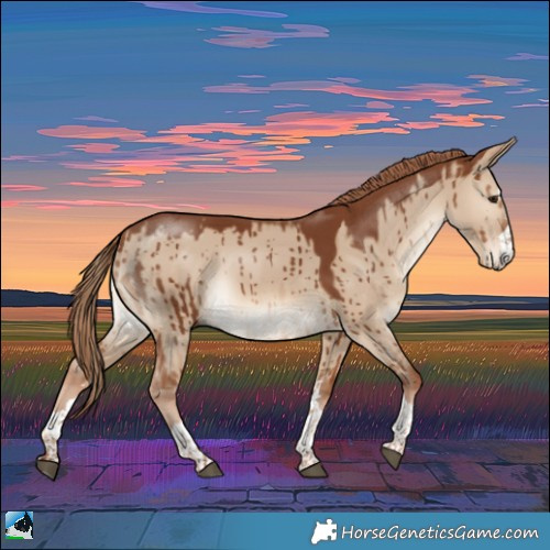 Horse Color:Red Dun Rabicano Brindle 