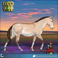 Horse Color:Bay Dun Rabicano Brindle 