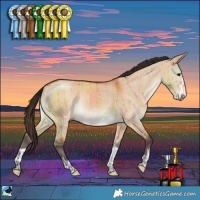 Horse Color:Bay Dun Rabicano Brindle 