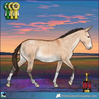 Horse Color:Bay Dun Rabicano Brindle