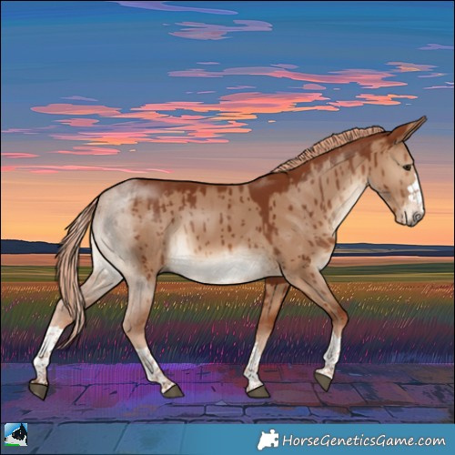 Horse Color:Red Dun Rabicano Brindle 