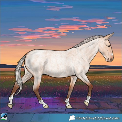 Horse Color:Silver Bay Roan Dun 