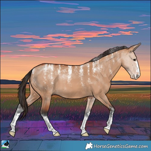 Horse Color:Powder White Bay Dun 