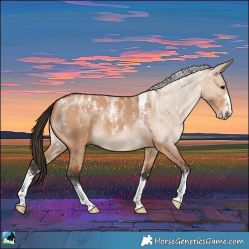 Horse Color:Powder White Bay Dun 