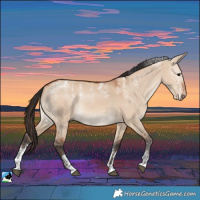 Horse Color:Powder White Bay Dun 