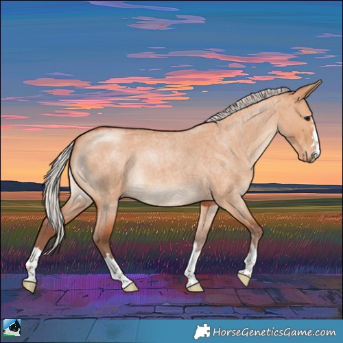 Horse Color:Silver Bay Roan Dun 