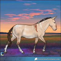 Horse Color:Powder White Bay Dun