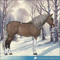 Horse Color:Silver Brown Dun Tobiano Rabicano 