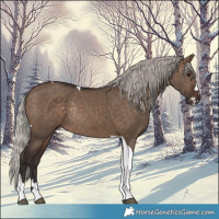 Horse Color:Silver Brown Dun Tobiano Rabicano