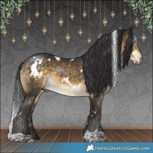 Horse Color:White Spotted Buckskin 