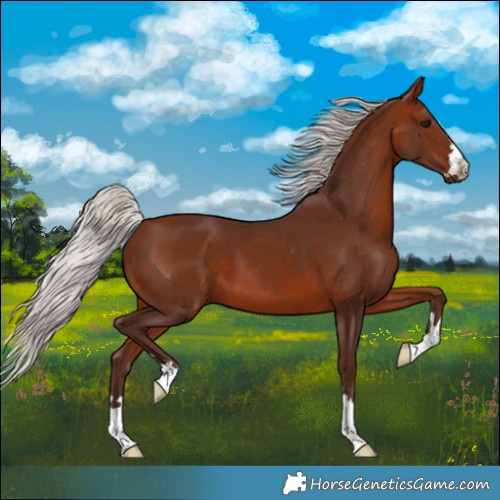 Horse Color:Silver Bay