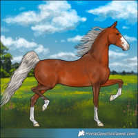 Horse Color:Silver Bay 