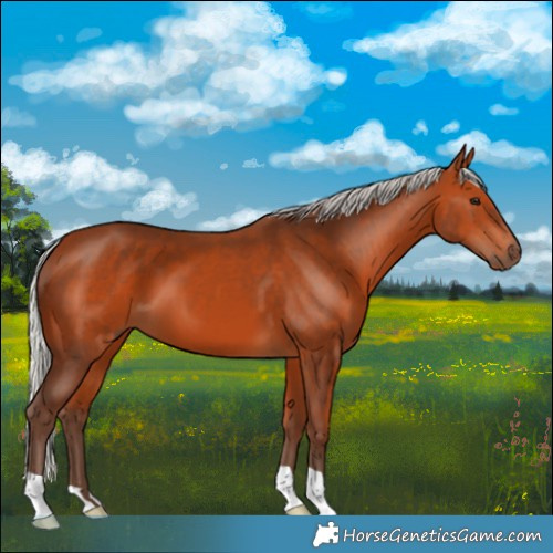 Horse Color:Silver Bay