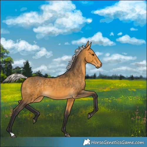 Horse Color:Silver Buckskin