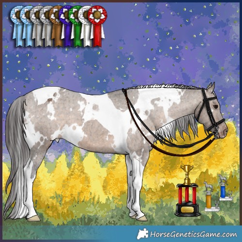 Horse Color:White Spotted Brown Dun Tobiano Appaloosa Brindle 
