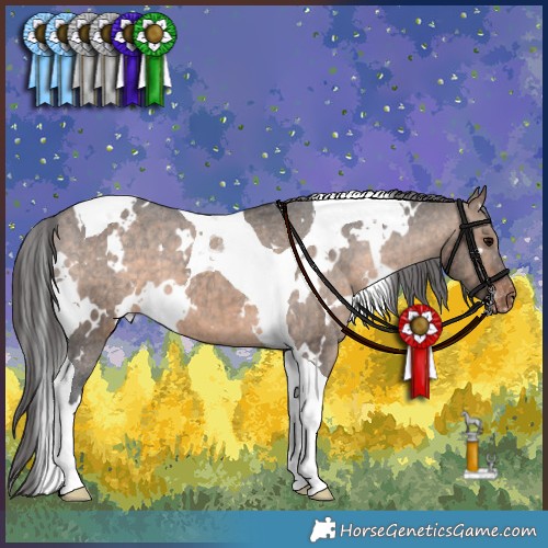 Horse Color:White Spotted Brown Dun Tobiano Appaloosa Brindle 