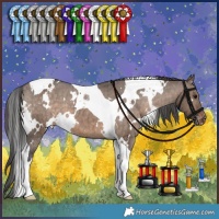Horse Color:White Spotted Brown Dun Tobiano Varnish Brindle 
