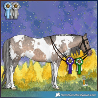 Horse Color:White Spotted Brown Dun Tobiano Appaloosa Brindle