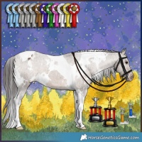 Horse Color:White Spotted Brown Dun Tobiano Appaloosa Brindle 