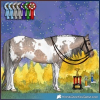 Horse Color:White Spotted Brown Dun Tobiano Appaloosa Brindle