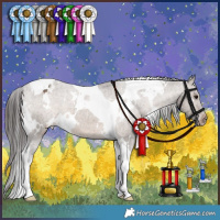 Horse Color:White Spotted Brown Dun Tobiano Appaloosa Brindle 
