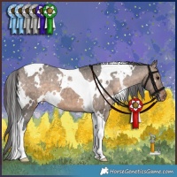 Horse Color:White Spotted Brown Dun Tobiano Appaloosa Brindle