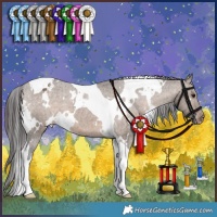 Horse Color:White Spotted Brown Dun Tobiano Appaloosa Brindle 