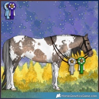 Horse Color:White Spotted Brown Dun Tobiano Appaloosa Brindle 