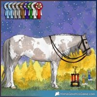 Horse Color:White Spotted Brown Dun Tobiano Appaloosa Brindle