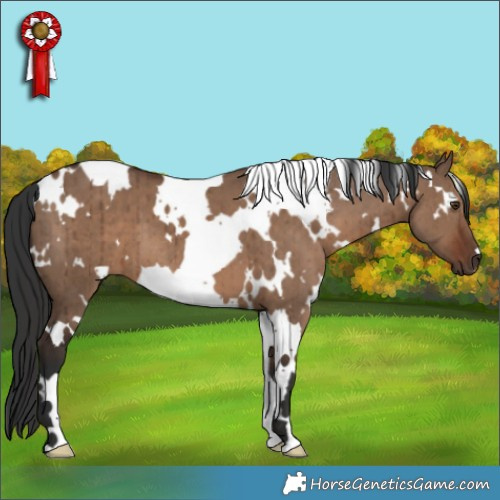 Horse Color:White Spotted Liver Red Dun Brindle 