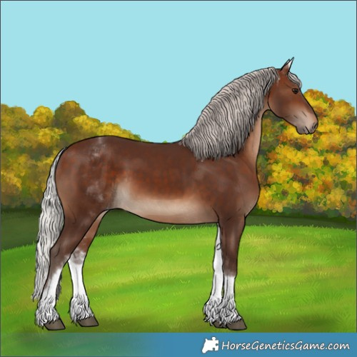 Horse Color:White Spotted Silver Brown Tobiano
