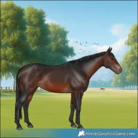 Horse Color:Brown 