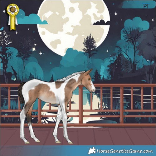 Horse Color:Bay Dun Tobiano Rabicano 