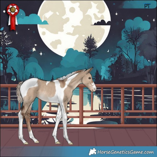 Horse Color:Liver Red Dun Tobiano Appaloosa Rabicano 
